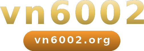 vn6002 logo